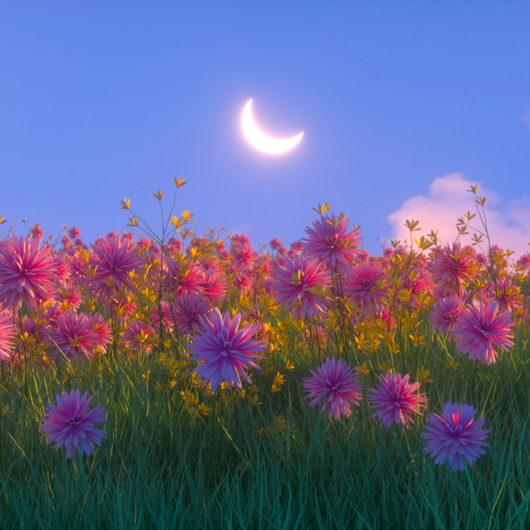 MOONLIT MEADOW