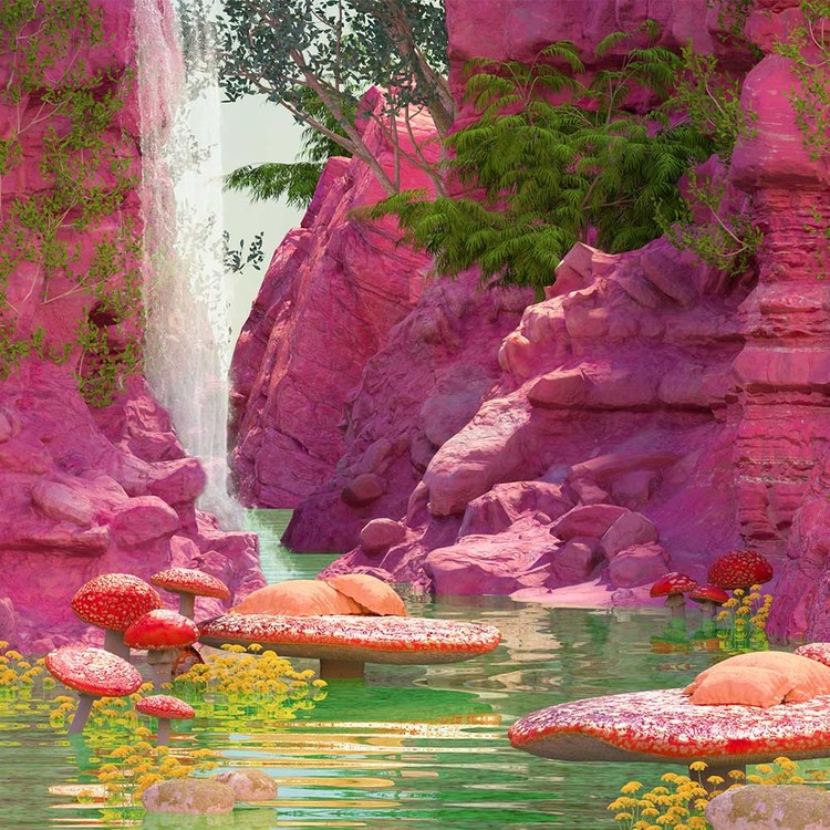 MUSHROOM VALLEY