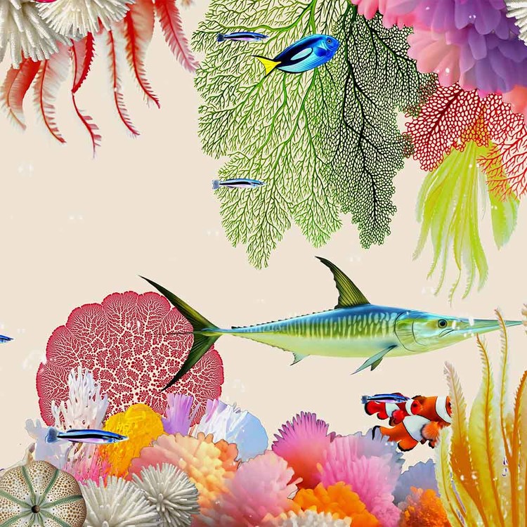 CORAL REEF