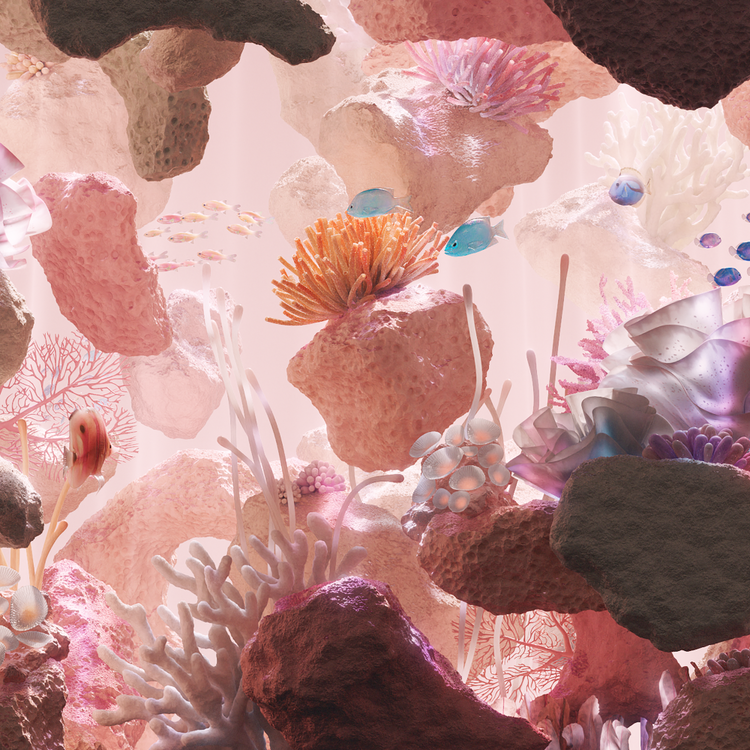 FLORIUM : BLOOM