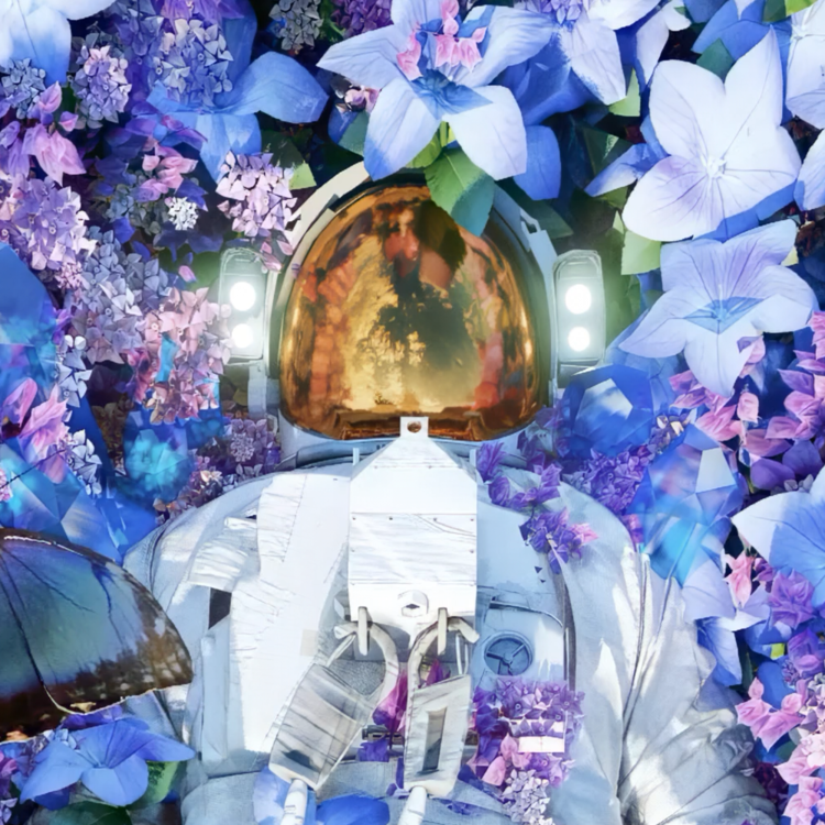 MORPHO : VERTICAL