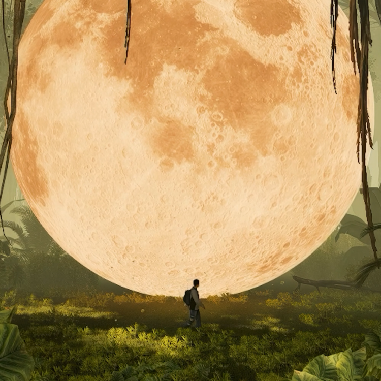 MYSTIC FOREST