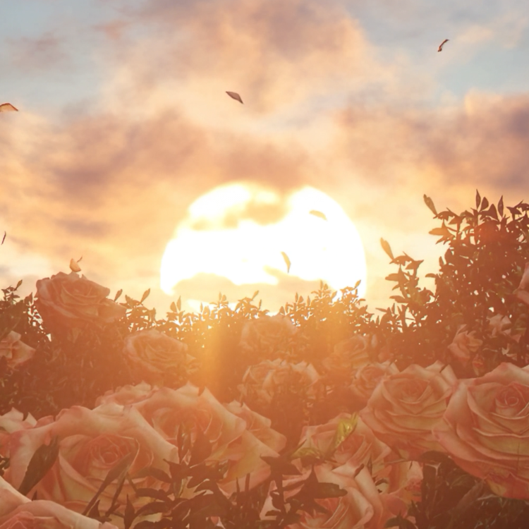 ROSE VALLEY : VERTICAL