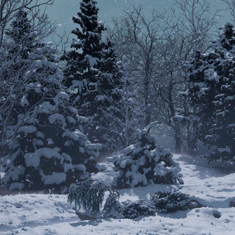 WHISPERS OF SNOW