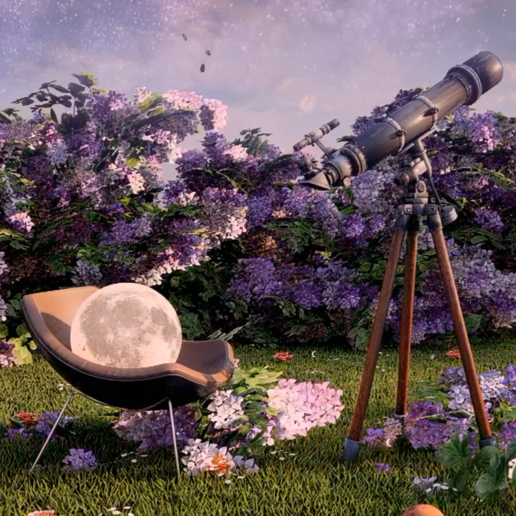 YOU ARE THE UNIVERSE : VERTICAL