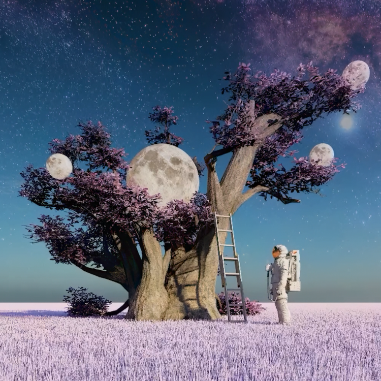 A CORNER OF THE UNIVERSE