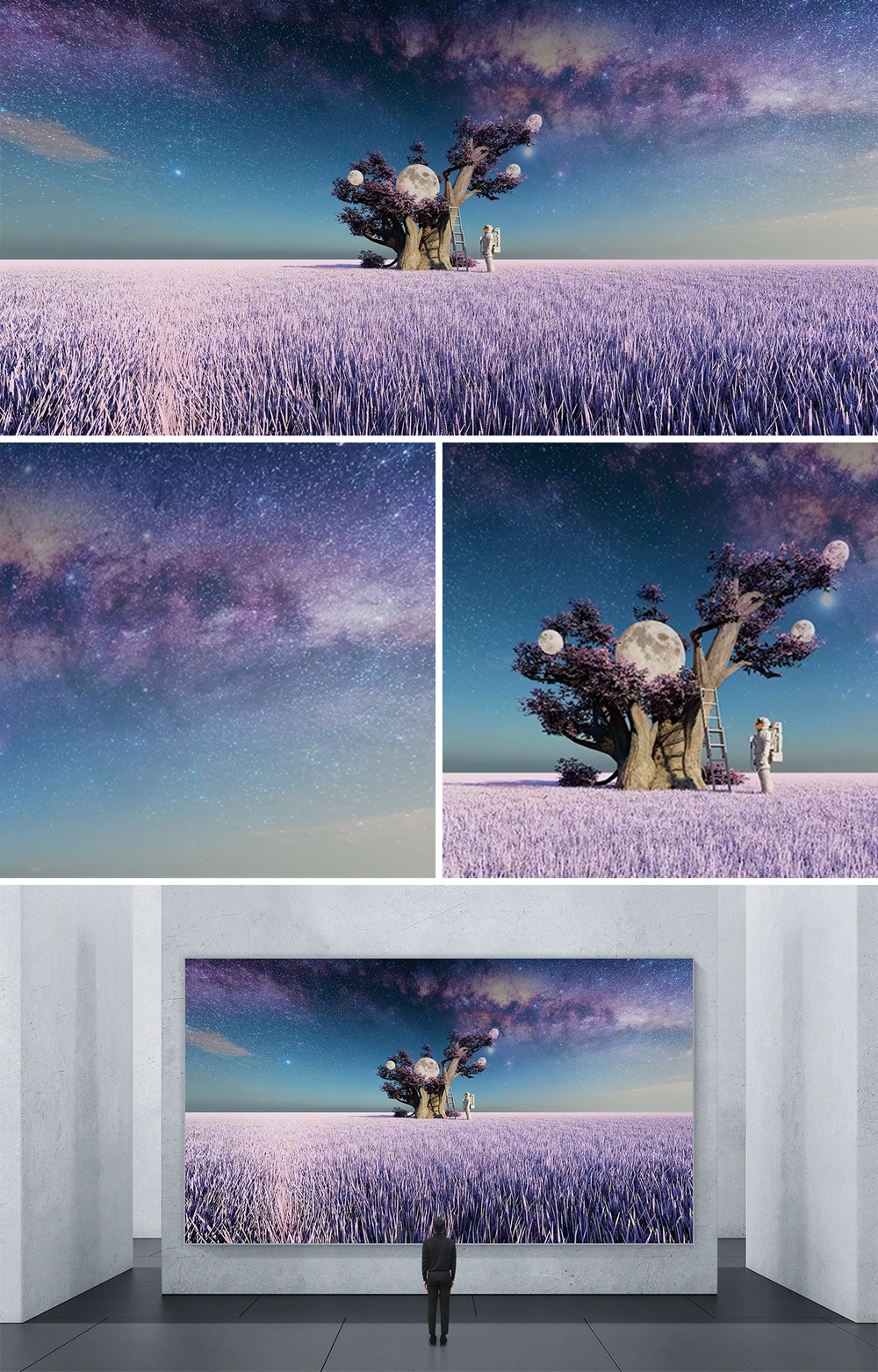 A CORNER OF THE UNIVERSE