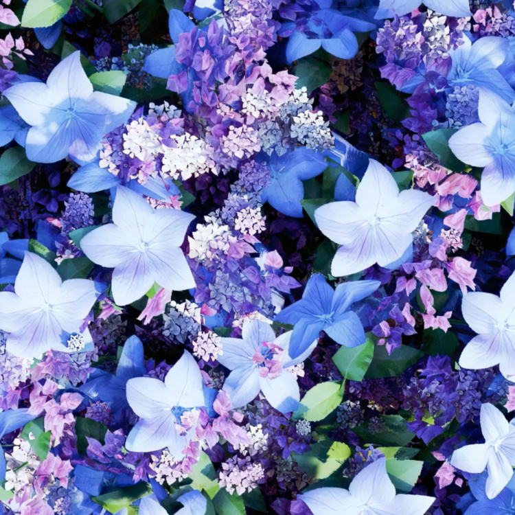 A TOUCH OF BLUE