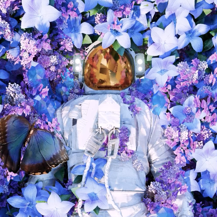 MORPHO