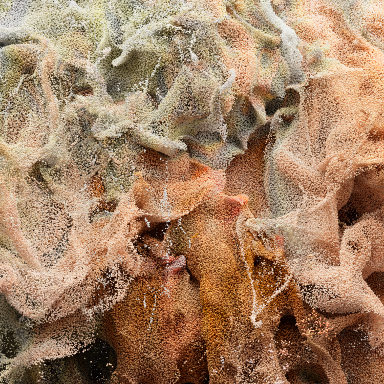 WAVEFORM : NATURE