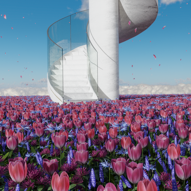 DREAM ASCENT : VERTICAL