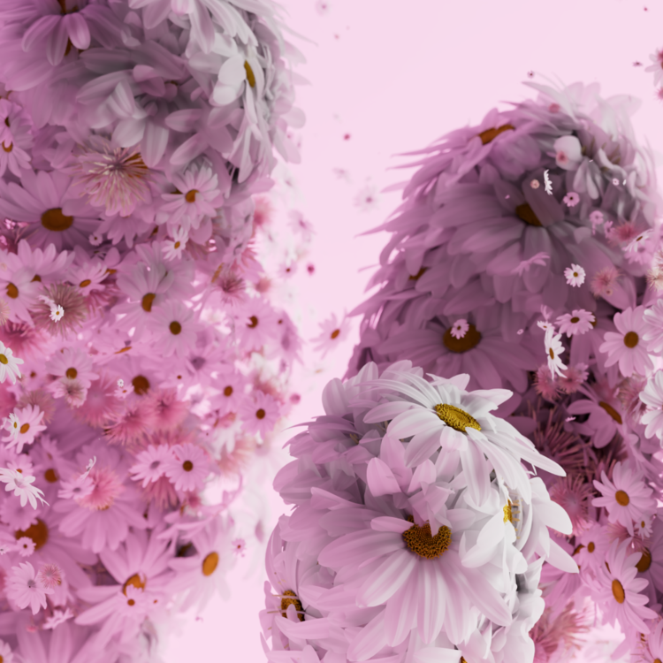 FIELDS : POPS SPECIAL