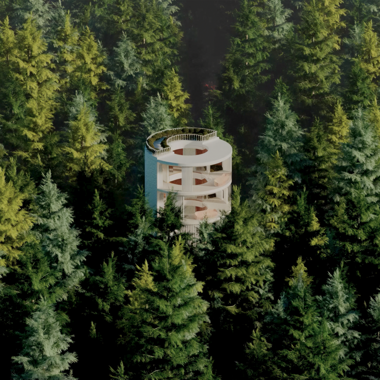 FOREST BUILDINGS