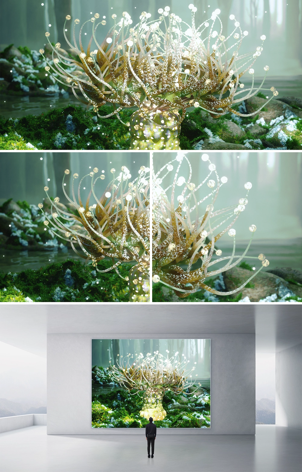 FUNGAL MIMIC SEA ANEMONE