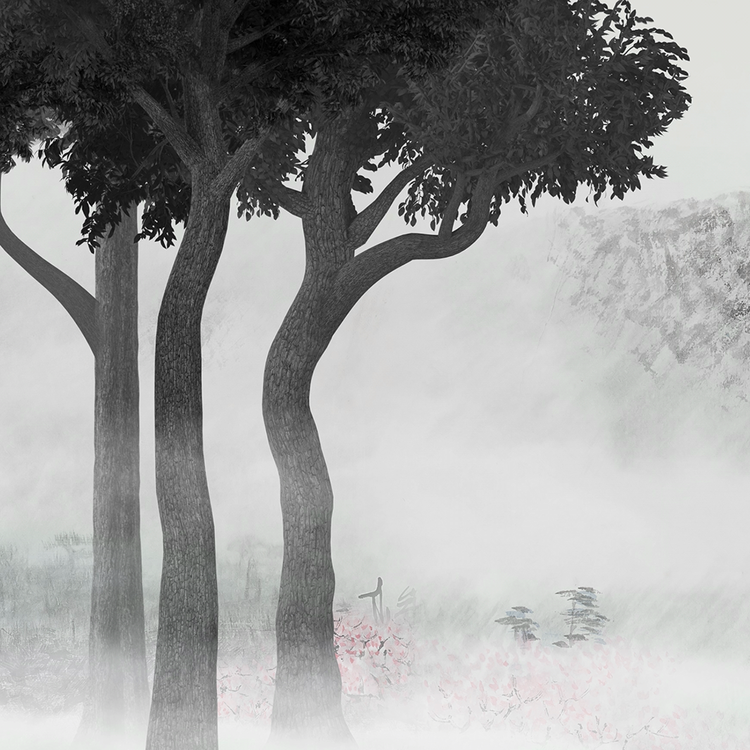 LIGHT OF TIME : FOREST