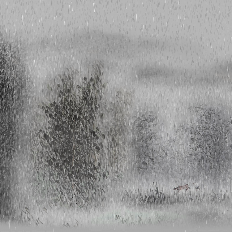 LIGHT OF TIME : RAIN