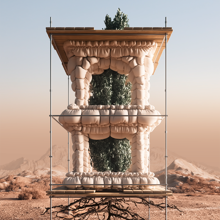 ROOTED TRANSCENDENCE