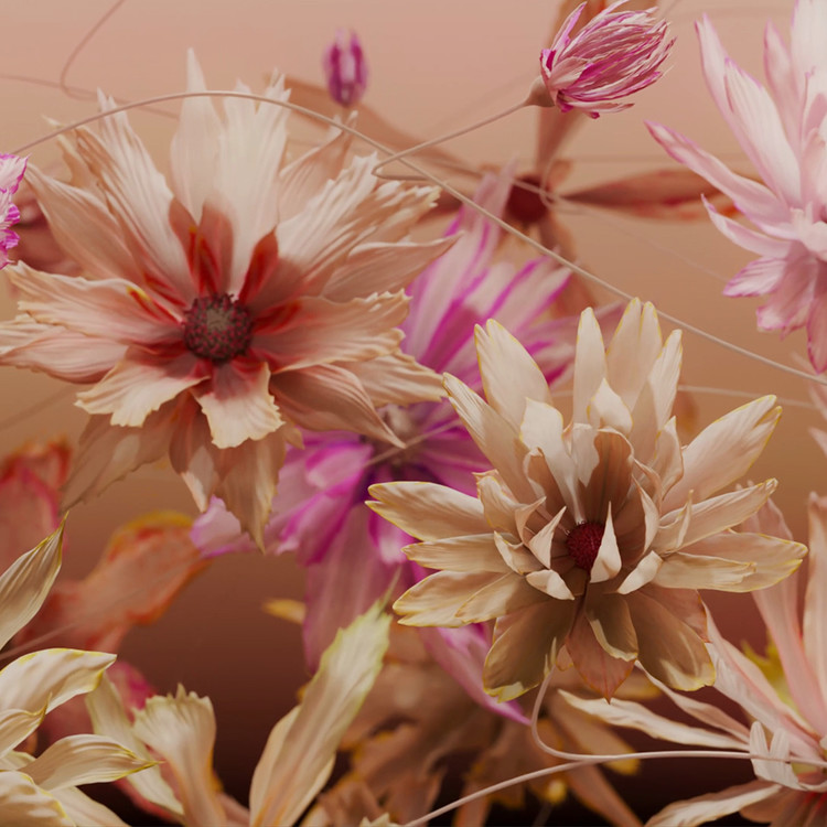 TOMORROW BLOOMS : ABUNDANCE