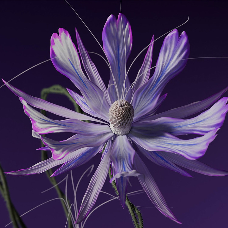 TOMORROW BLOOMS : HELIX