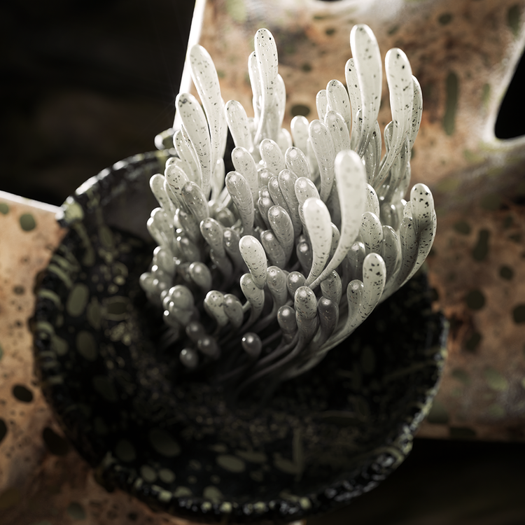 THE MOTTLED BLOOM : VERTICAL