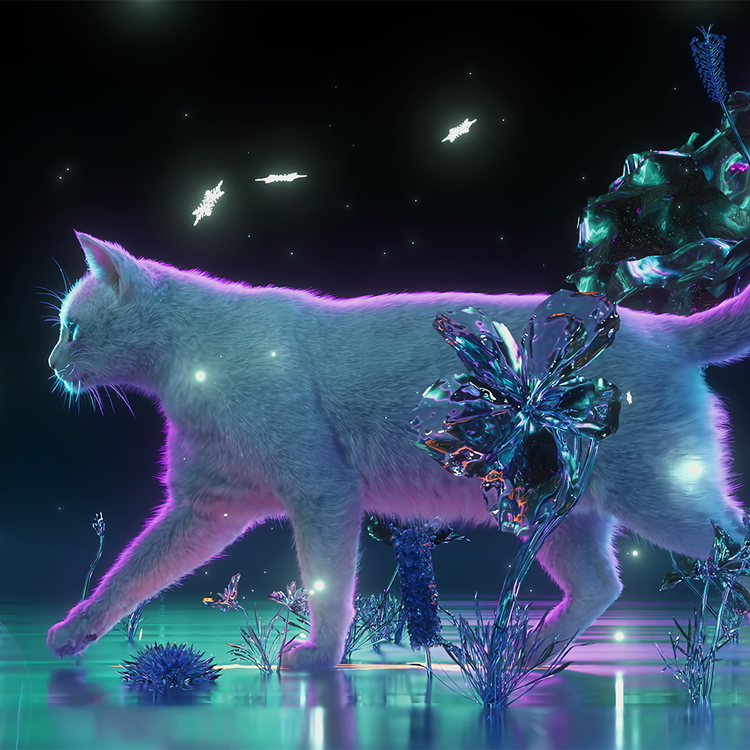 A CAT’S STROLL : WALKING THROUGH WINTER