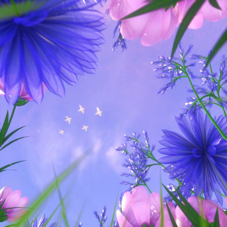 LOOKING UP : VERTICAL