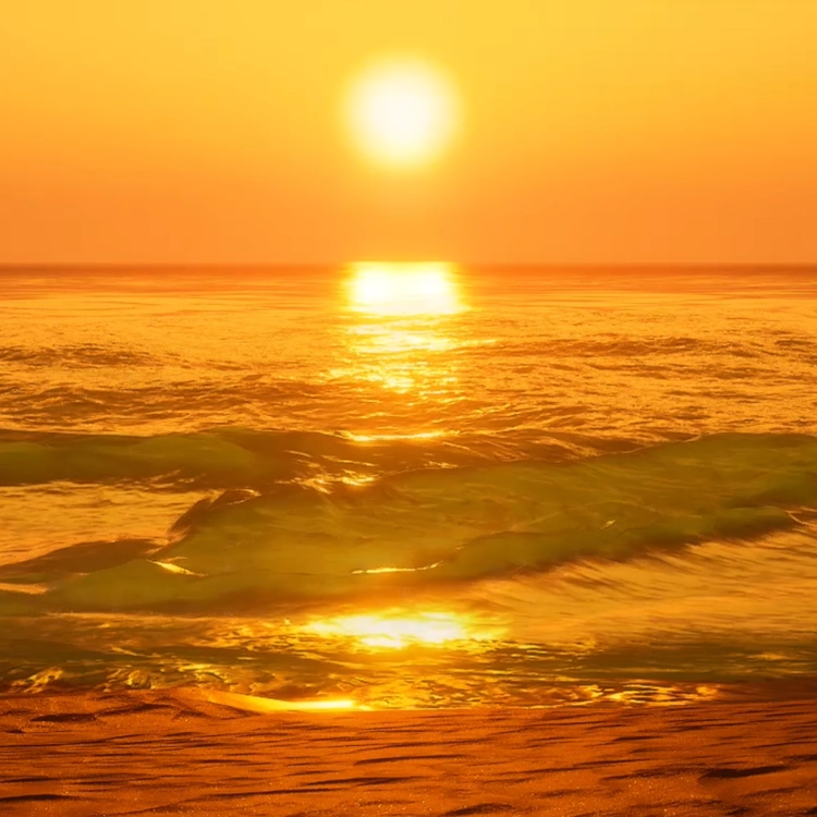 ALL THAT FINDS THE SEA 01