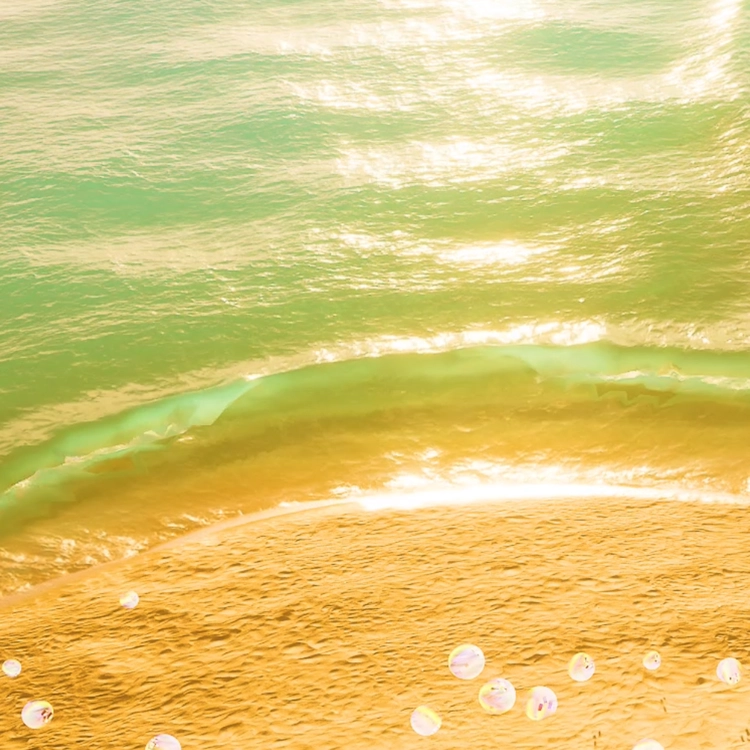 ALL THAT FINDS THE SEA 02