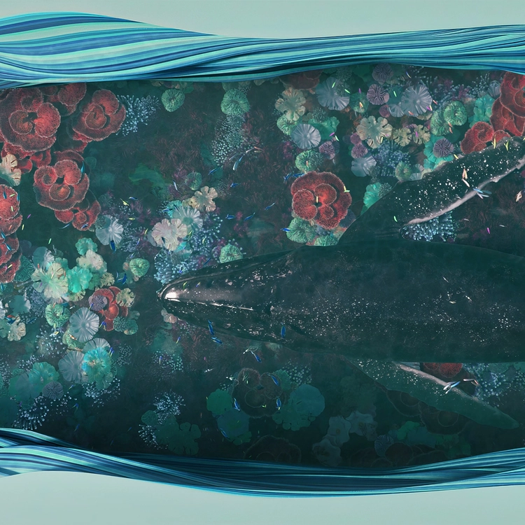 NEO NATURE : UNDERWATER