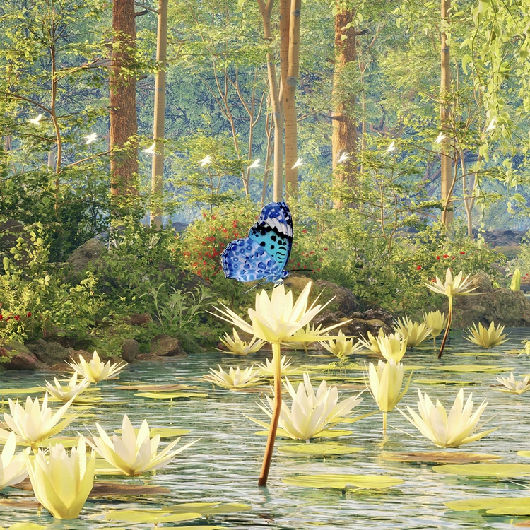 THE KEEPERS OF THE FOREST