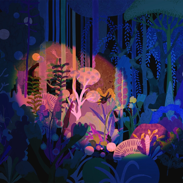 WHAT APPEARS ONLY IN THE DARK