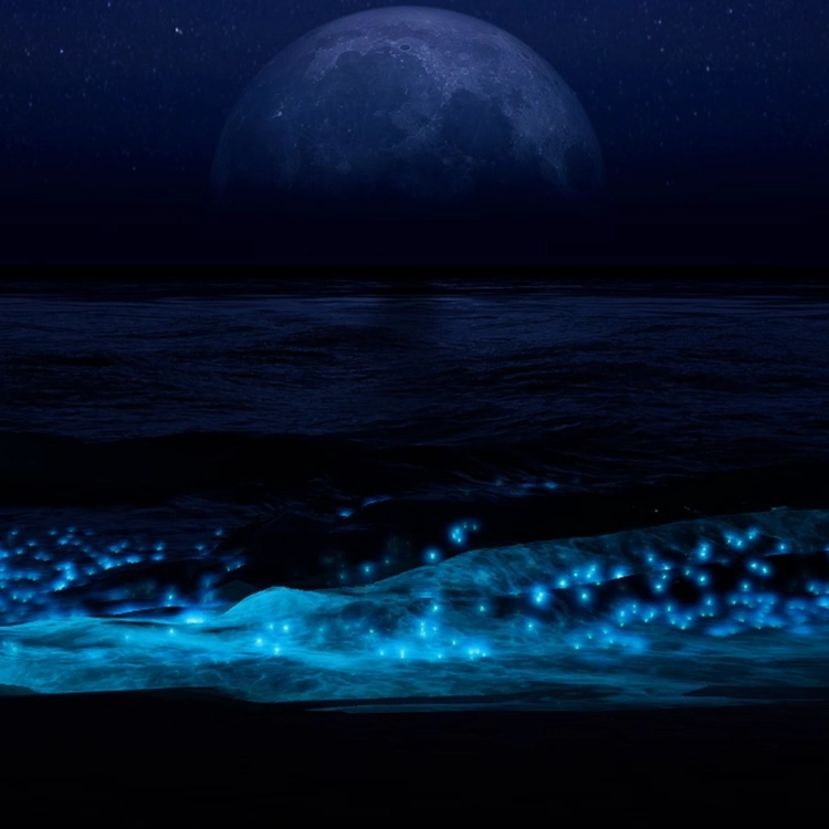 WHAT THE NIGHT KEEPS 01