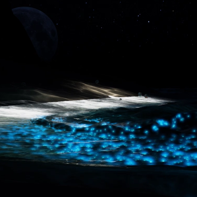 WHAT THE NIGHT KEEPS 02