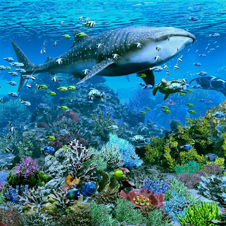 AQUARIUM