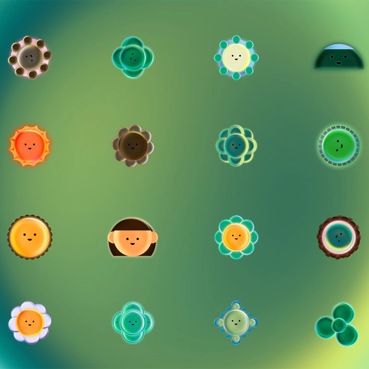 DONGLI UNIVERSE