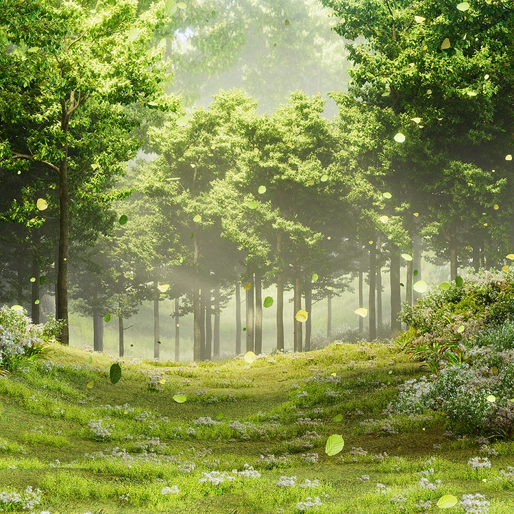 DREAMFOREST