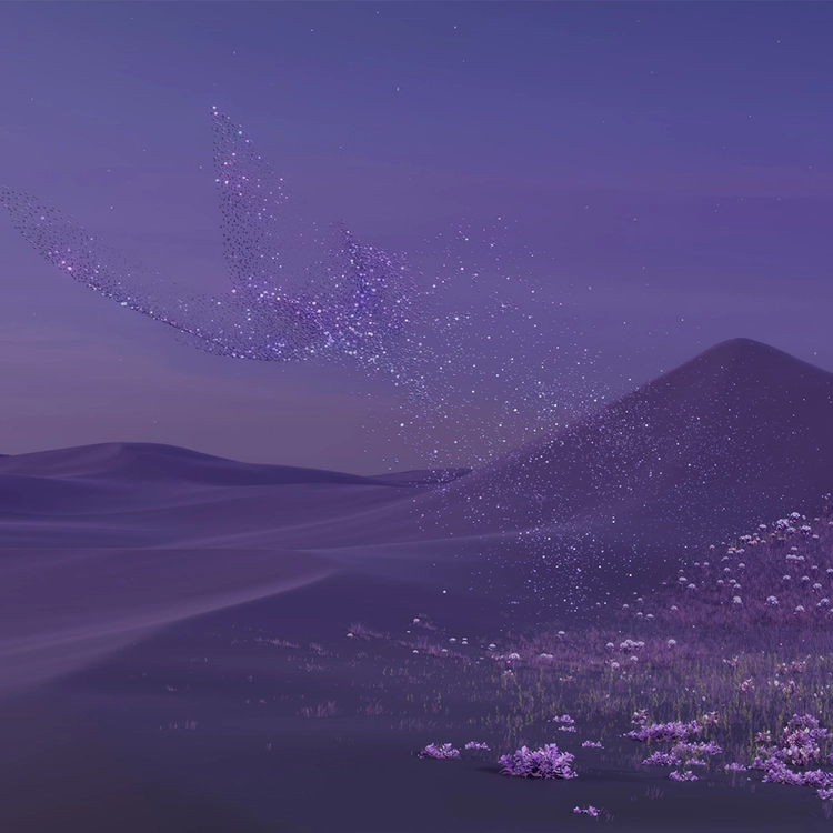 BUTTERFLY DREAM : VIOLET DESERT