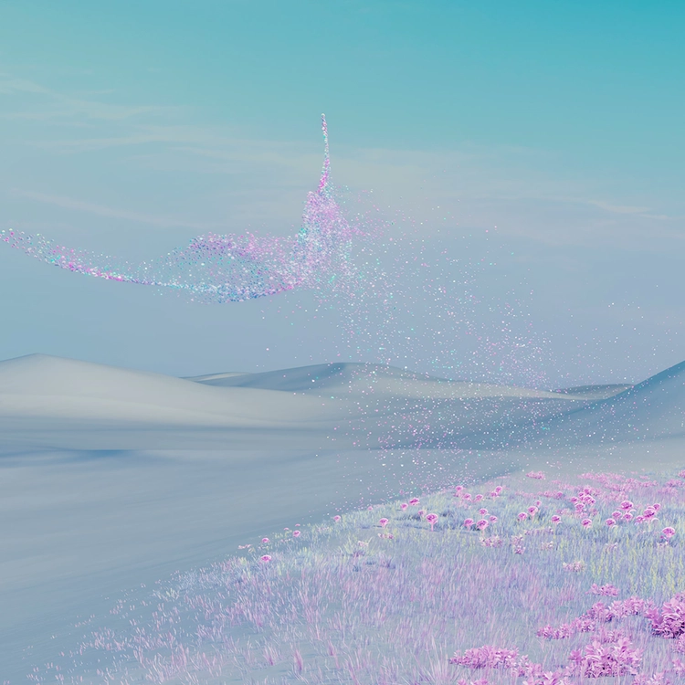 BUTTERFLY DREAM : WHITE DESERT