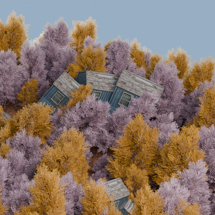 HOUSE OF THE SILENT SEASON